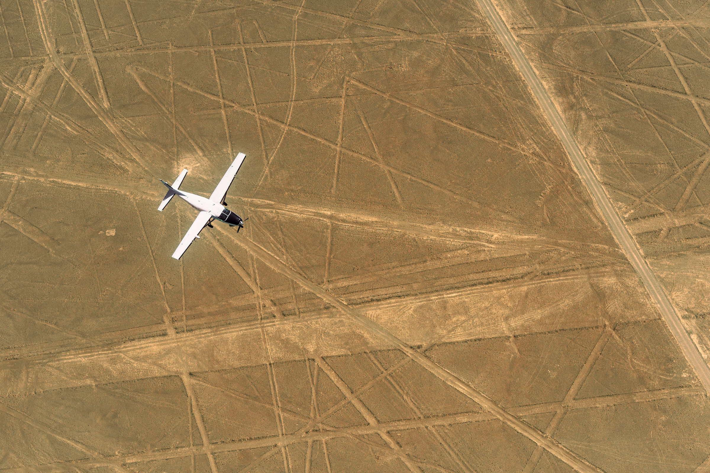 99 nazca lines.webp